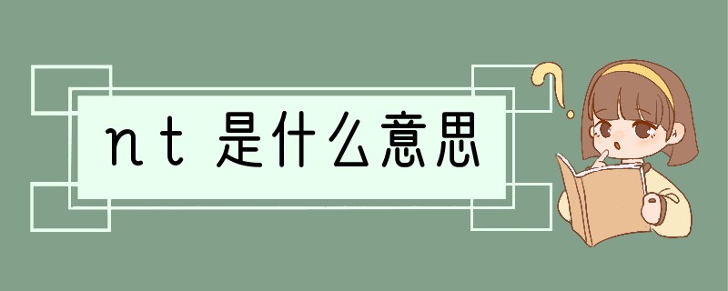 nt是什么意思?