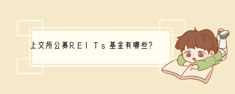 上交所公募REITs基金有哪些？