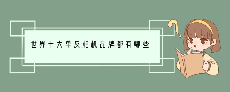 世界十大单反相机品牌都有哪些?