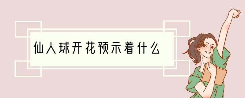 仙人球开花预示着什么