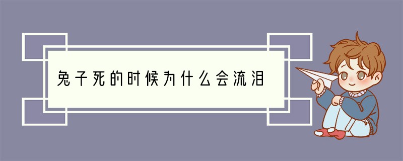 兔子死的时候为什么会流泪