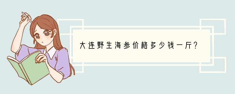 大连野生海参价格多少钱一斤？