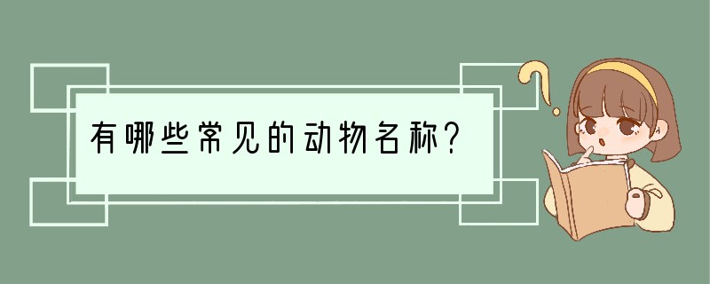 有哪些常见的动物名称？