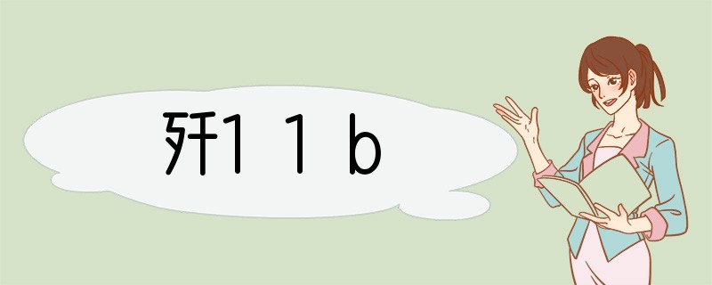 歼11b