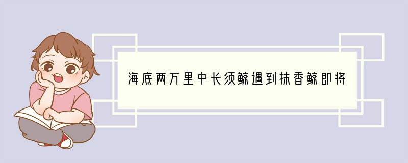 海底两万里中长须鲸遇到抹香鲸即将开始一场战争你如何看待这场战斗？