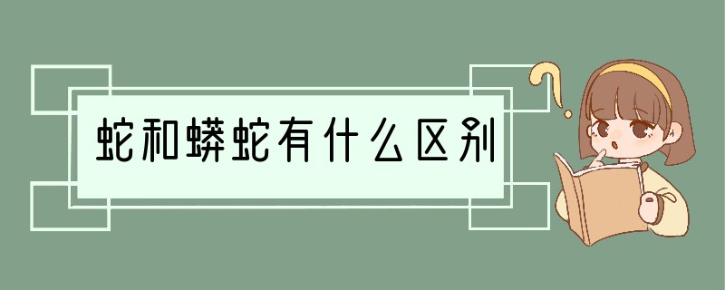 蛇和蟒蛇有什么区别