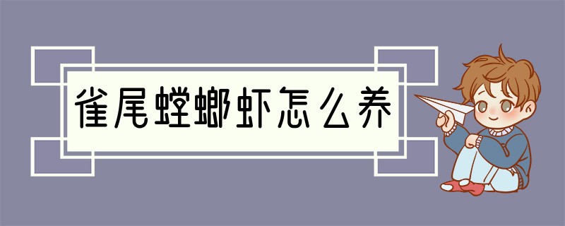 雀尾螳螂虾怎么养